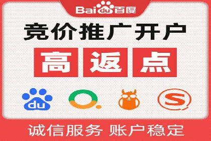 百度竞价排名实战：某电商平台的成功之路